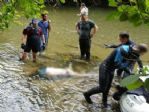 Otomobiliye Dereye Uçan Polisin Cesedine Ulaşıldı
