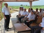 Aydın’da 15 Adet Tatlı Suya 172 Bin 500 Adet Yavru Sazan Bırakıldı