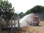 Didim’de 40 Dekar Tarım Arazisi Zarar Gördü