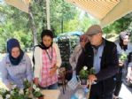 Kabir Ziyaretine Gelenlere 10 Bini Aşkın Çiçek