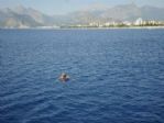 77’lik Baykal’ın 300 Metrede Deniz Keyfi