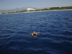 77’lik Baykal’ın 300 Metrede Deniz Keyfi