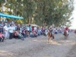 Köşk’te Rahvan Atlar Bayramda Nefes Kesti