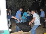 Kayıp Gencin Cesedi Zeytinlikte Bulundu