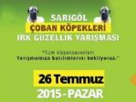 Sarıgöl’de ’çoban Köpekleri ırk Güzellik Yarışması’ Düzenleniyor