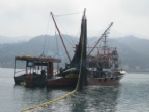 Palamut Sinop’ta Oltaya Takıldı, Trabzon’da Balıkçının Umudu Oldu