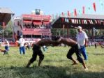 Kırkpınar Pehlivanları, 2015 Kırkpınar Yağlı Güreşleri’nin İkinci Günü Er Meydanına Çıktı