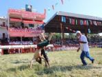 2015 Kırkpınar Yağlı Güreşleri Final Günü Güreşleri Başladı