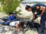 Sokakta Bulundu, K-9 Timi’nin Göz Bebeği Oldu