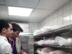 Tarım Müdürlüğü Denetimlerini Sıklaştırdı