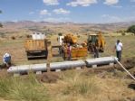 Tunceli İl Özel İdaresinden Hayvancılığa Destek