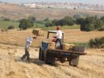 40 Derece Sıcakta Gençlerin Ekmek Mücadelesi