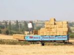 40 Derece Sıcakta Gençlerin Ekmek Mücadelesi