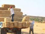 40 Derece Sıcakta Gençlerin Ekmek Mücadelesi