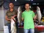 Balıkçıların Umudu Yeni Av Sezonu
