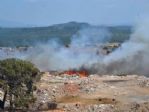 Ayvalık’ta Çöplük Yangını Az Daha Hatıra Ormanını Yok Ediyordu