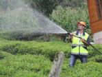 Bedrettin Dalan, Rize’de Organik Tarım Toplantısına Katıldı