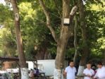 Ertan Şahin, ılıksu Ve Değirmenağzı Plajlarında İncelemelerde Bulundu