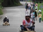 Formulaz Yarışları Nefes Kesti