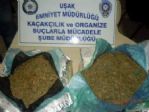 Uşak’ta Uyuşturucu Ve Kaçak Sigara Operasyonu