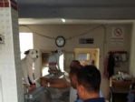 Büyükşehır Zabıtası’ndan ılçe Kasaplarında Denetleme