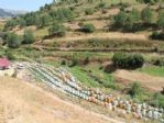 Oltu’da Bal Sezonu Başlıyor