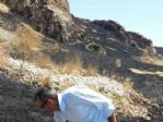 Tuşba Belediyesi’nden Çarpanak Adası’nda İnceleme