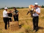 Tedavileri Tamamlanan Kuşlar Yeniden Doğaya Kanat Çıpttı