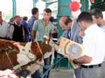 En Güzel Sarımsak Cumhurbaşkanına Hediye Edilecek