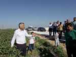 Dörtağaç Mahallesi’nde Asfalt Sevinci