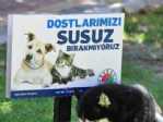Kepez’de Sokak Hayvanları İçin 30 Su İstasyonu