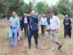 Başkan Togar Çalışmaları Yerinde İnceledi