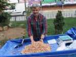 Taze Siirt Fıstığı Piyasada