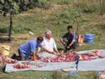 Samsun’da Kurban Manzaraları