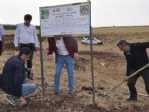 (özel Haber) Telli Turna Ve Toy Kuşları İçin Çalışma