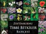Başkan Aydın: Bu Ödül Türkiye’nin Nobel’i Gibi