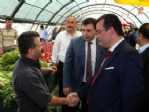 Kurt Ve Taşçı Destek İstedi