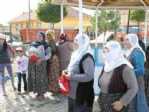 Yozgat Bağımsız Milletvekili Adayı Lütfullah Kayalar, Seçim Çalışmalarını Aralıksız Sürdürüyor