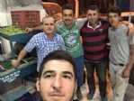 Aydın’da Zeytin Hasadı Başladı