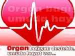 Aydın Sağlık-sen’den Organ Bağışı Çağrısı