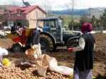 Patates Üretimi Sevindirdi