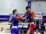 Sinan Şamil Sam Türkiye Boks Şampiyonası Eleme Müsabakaları Sona Erdi
