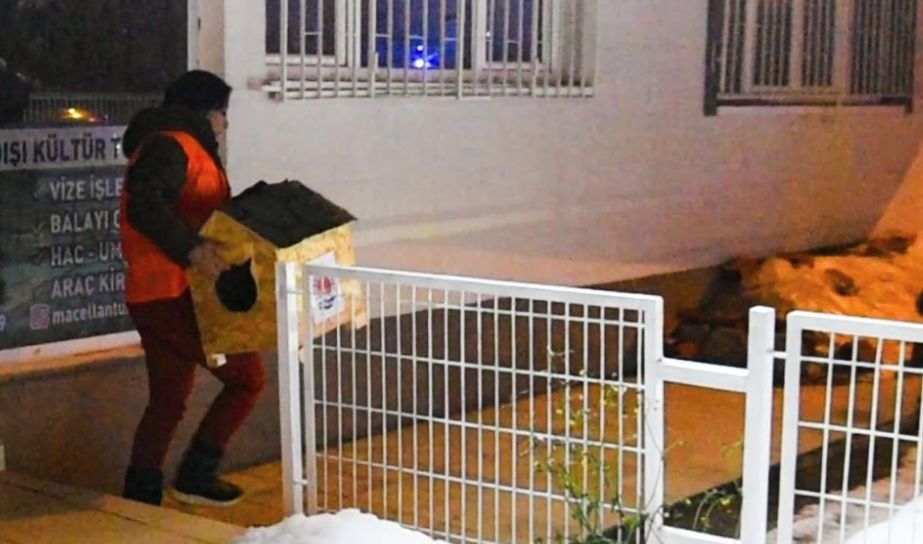 Can Dostlara Son Hız Yuva