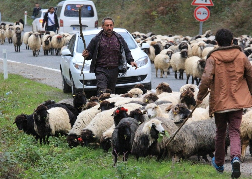 Son yaylacılar da döndü