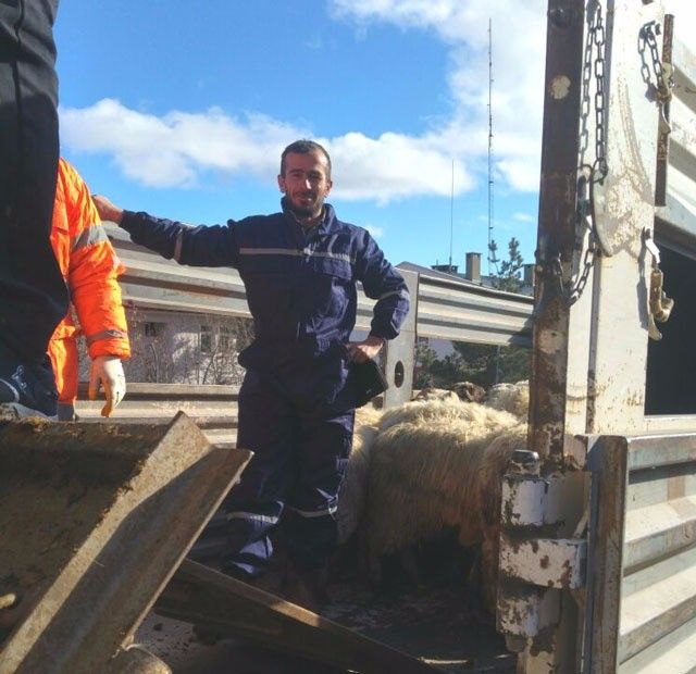 Alucra’da genç çiftçilere destek