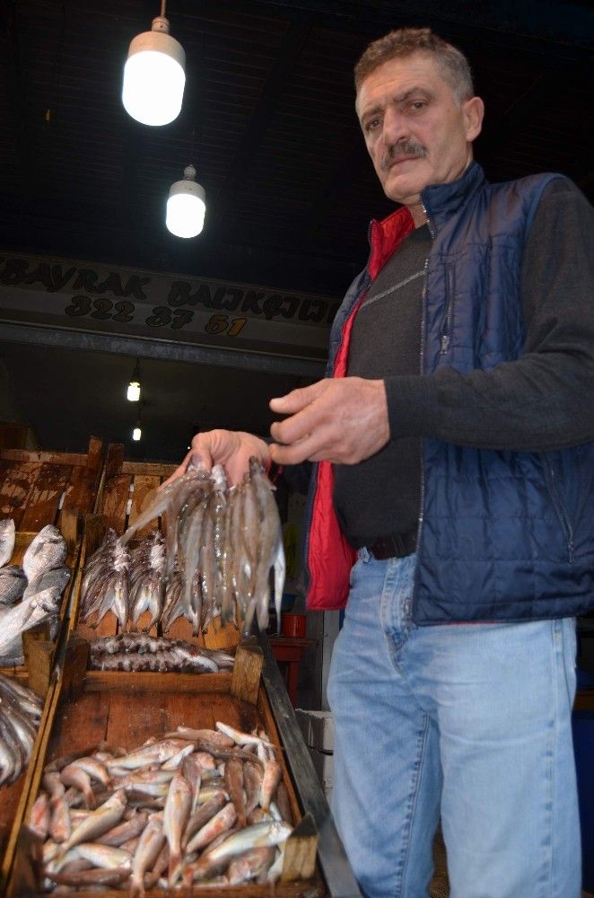 Hamsinin fiyatı 4 günde 3 kat arttı