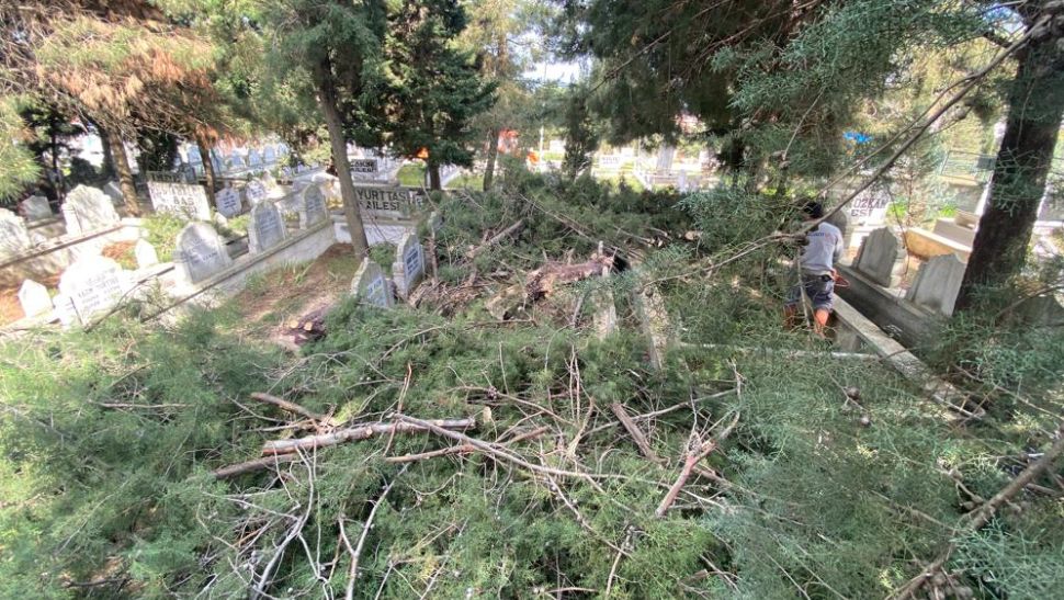 Kıranköy'de neler oluyor?