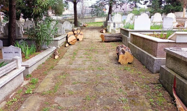 Kıranköy'de neler oluyor?